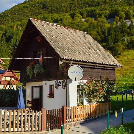 Apartmaji Bohinj Zewnętrze zdjęcie