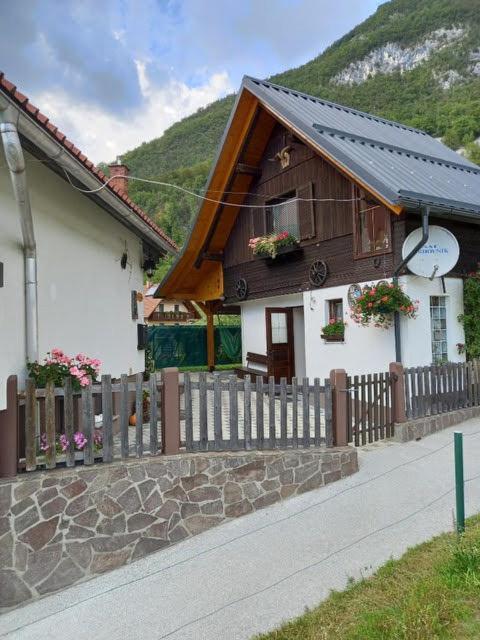 Apartmaji Bohinj Zewnętrze zdjęcie