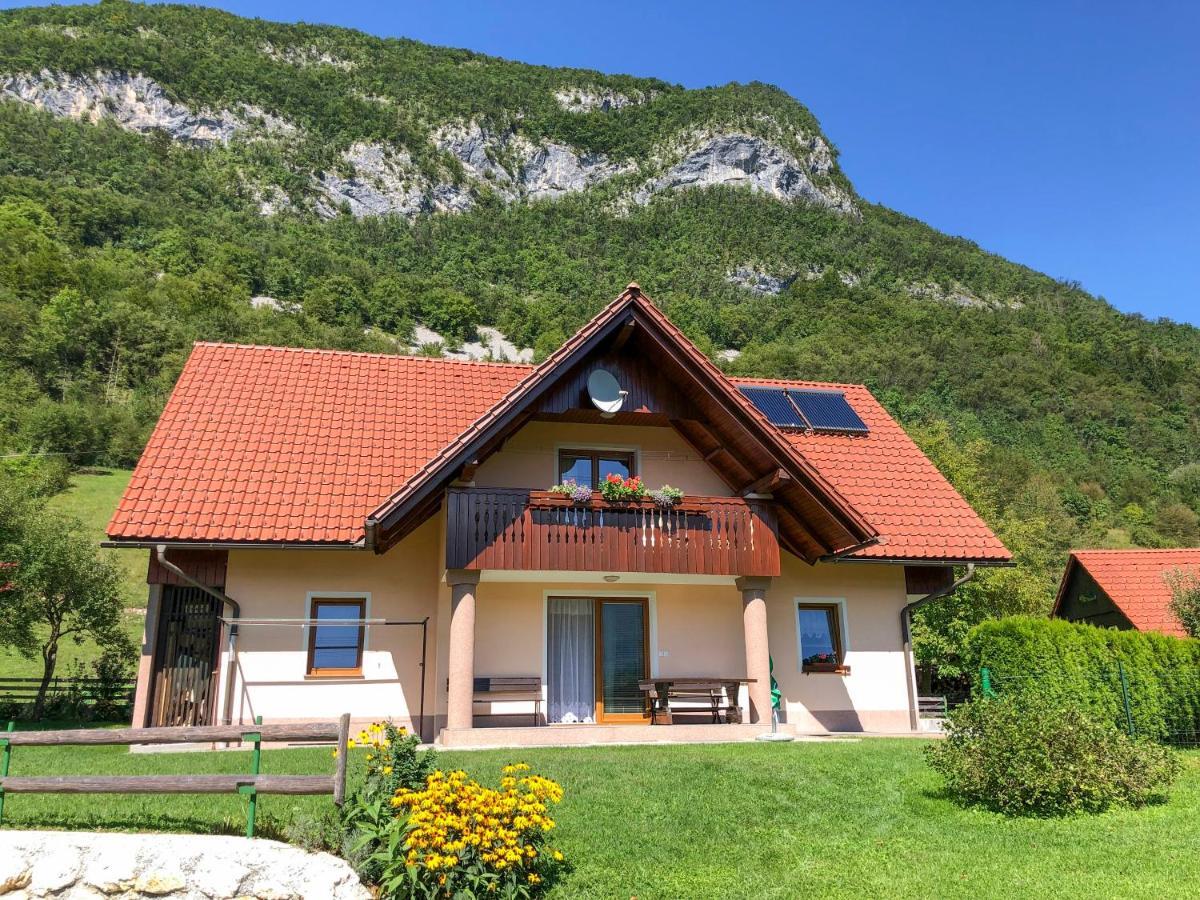Apartmaji Bohinj Zewnętrze zdjęcie