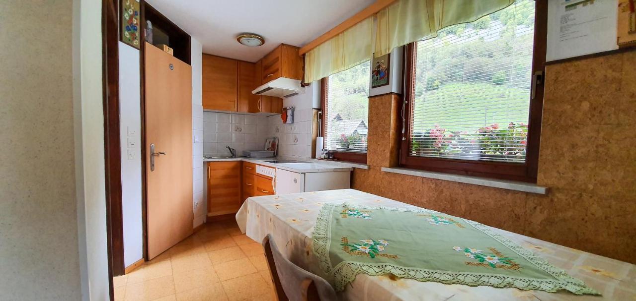 Apartmaji Bohinj Zewnętrze zdjęcie